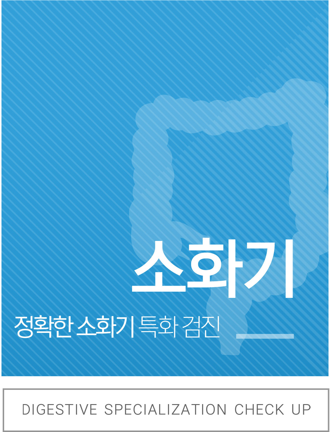 소화기검진